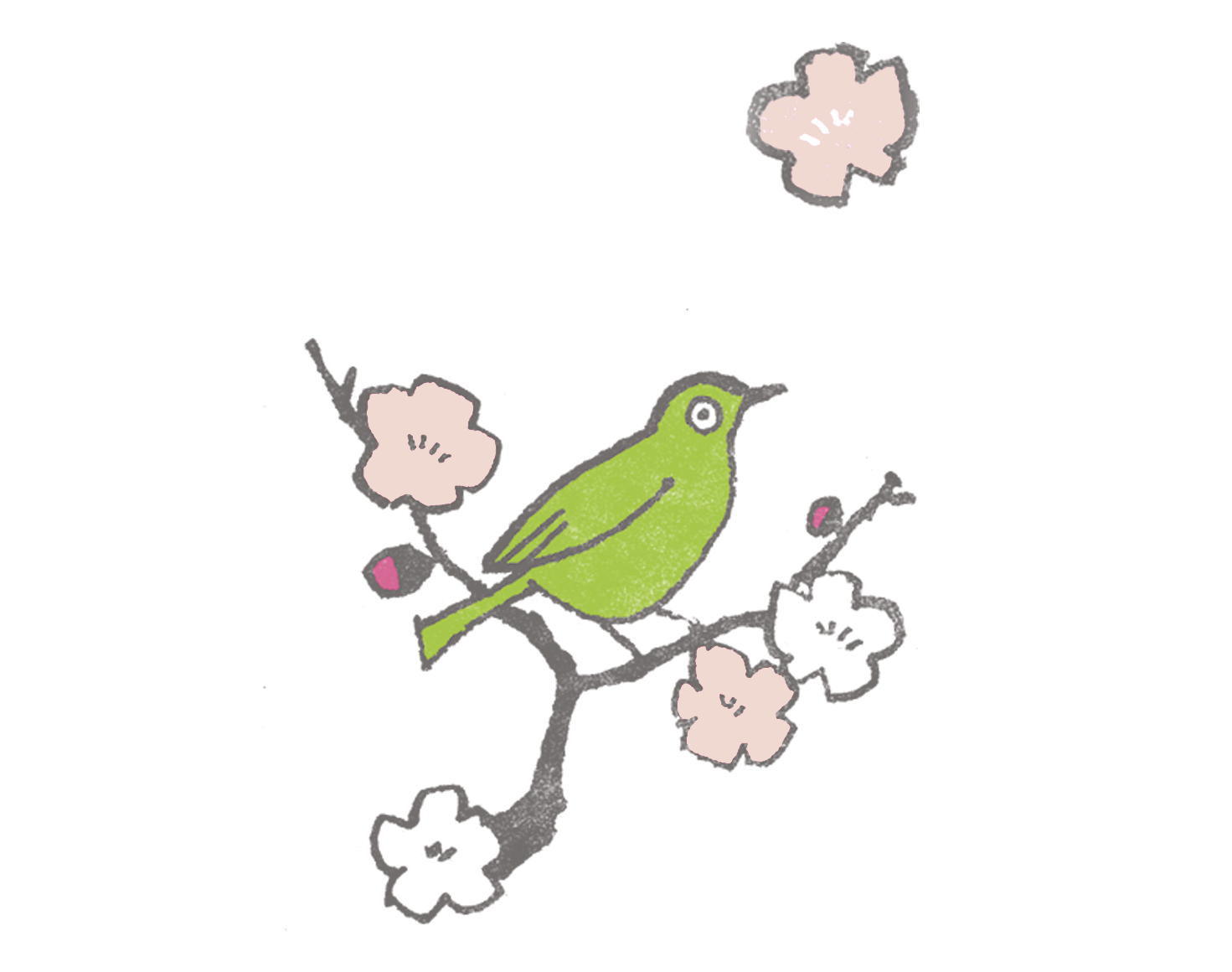 絵と文：谷山彩子（たにやま・あやこ）