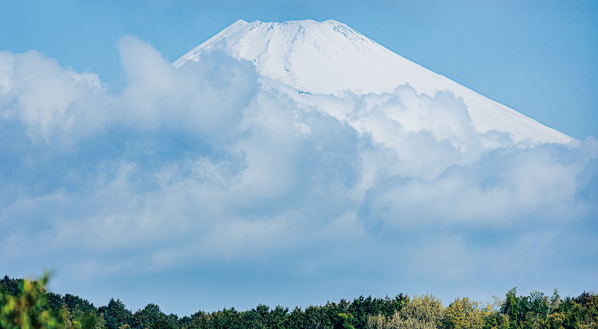 富士山